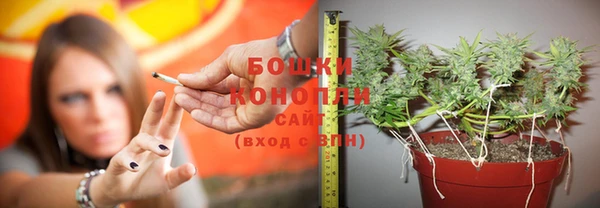 метадон Белоозёрский