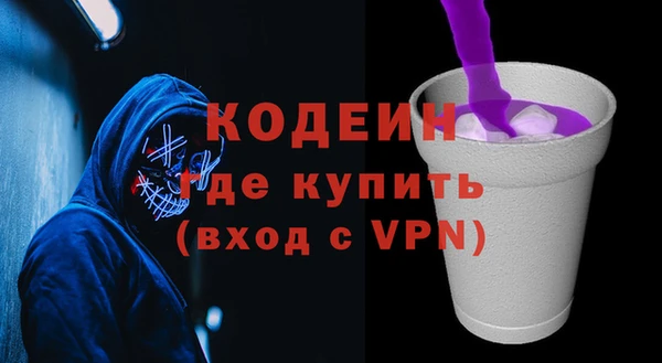 индика Балахна