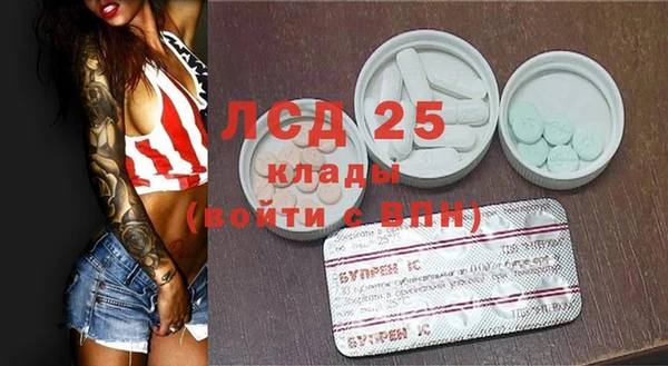PSILOCYBIN Беломорск