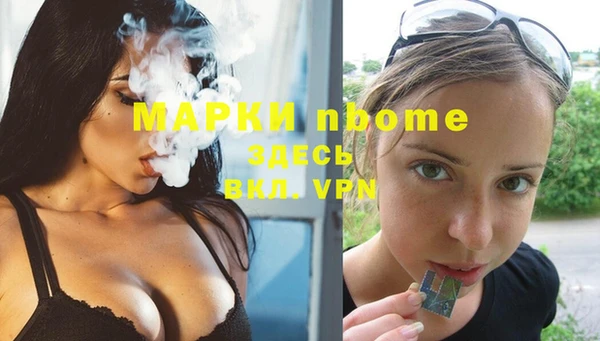 индика Балахна