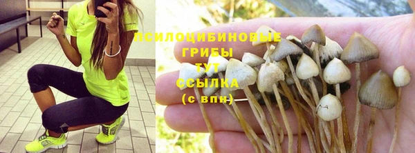 не бодяженный Баксан
