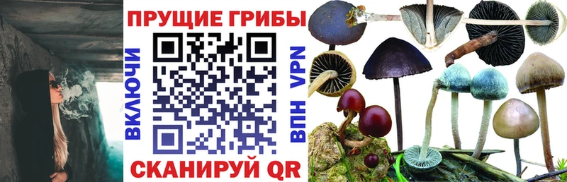 Галлюциногенные грибы GOLDEN TEACHER  Бугульма 